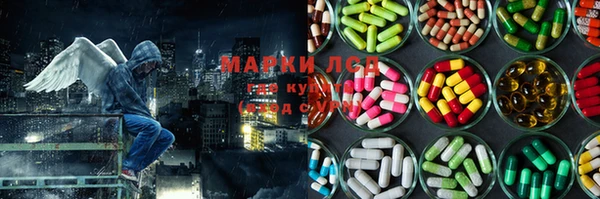 гидропоника Балабаново