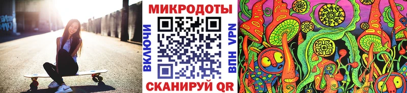 Купить закладки  Олонец  Псилоцибиновые грибы мухоморы 